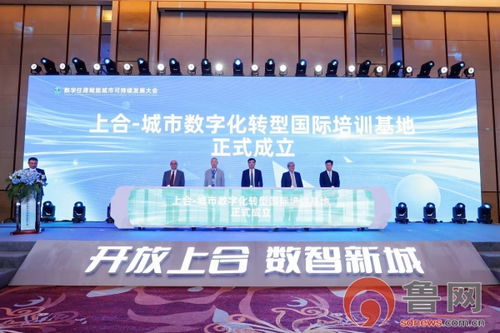 上合示范區(qū)亮相2024城博會(huì) 數(shù)字住建 驅(qū)動(dòng) 數(shù)字貿(mào)易 ,釋放公共產(chǎn)品作用